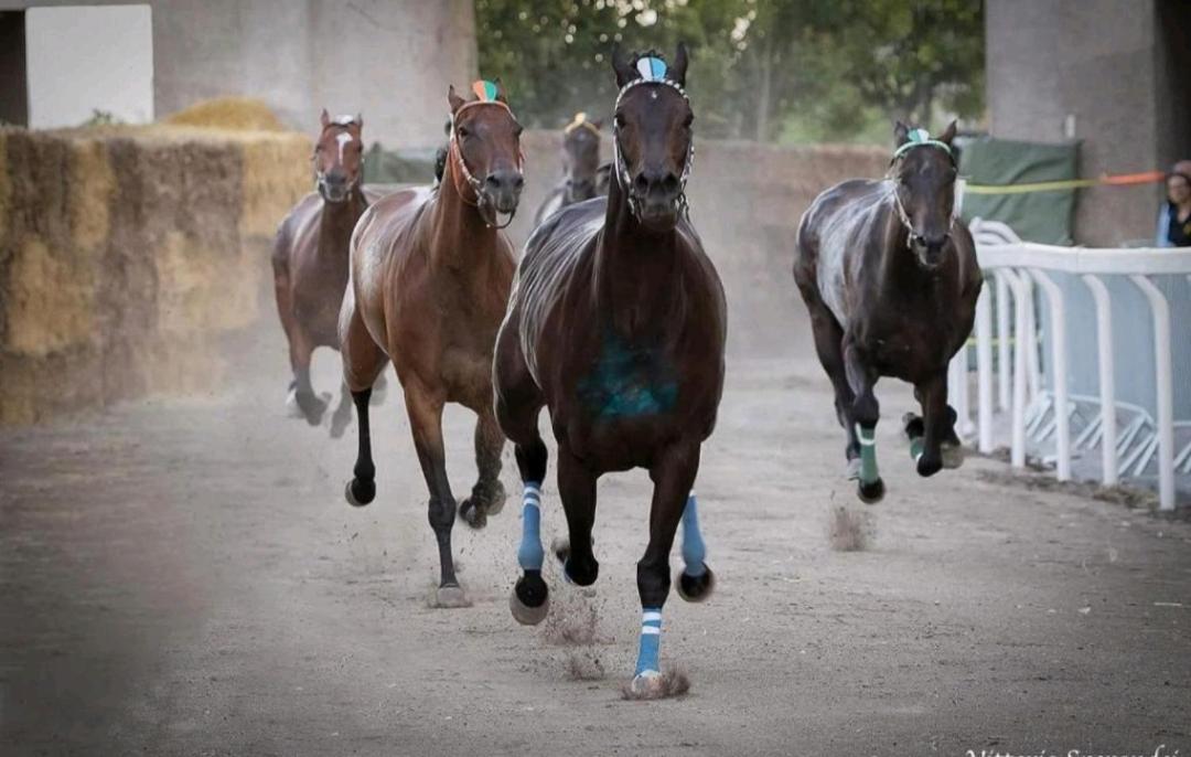 Appartamento La casina di karol Ronciglione  Esterno foto