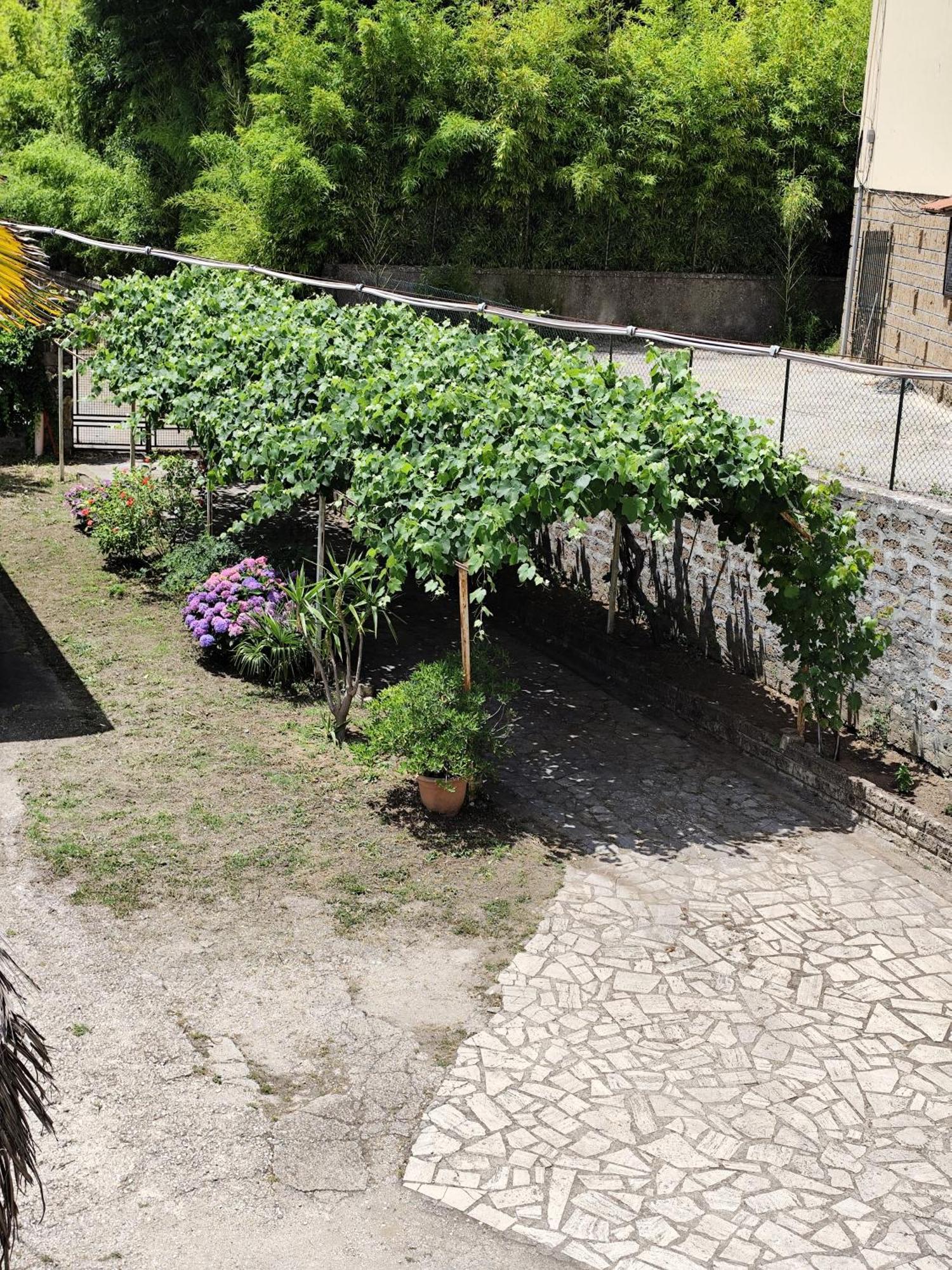 Appartamento La casina di karol Ronciglione  Esterno foto